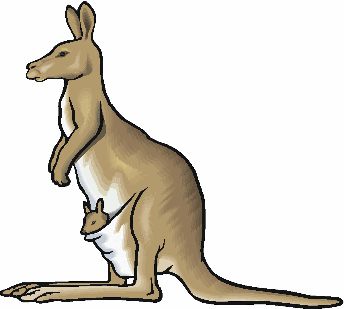 free animated kangaroo clipart - photo #3