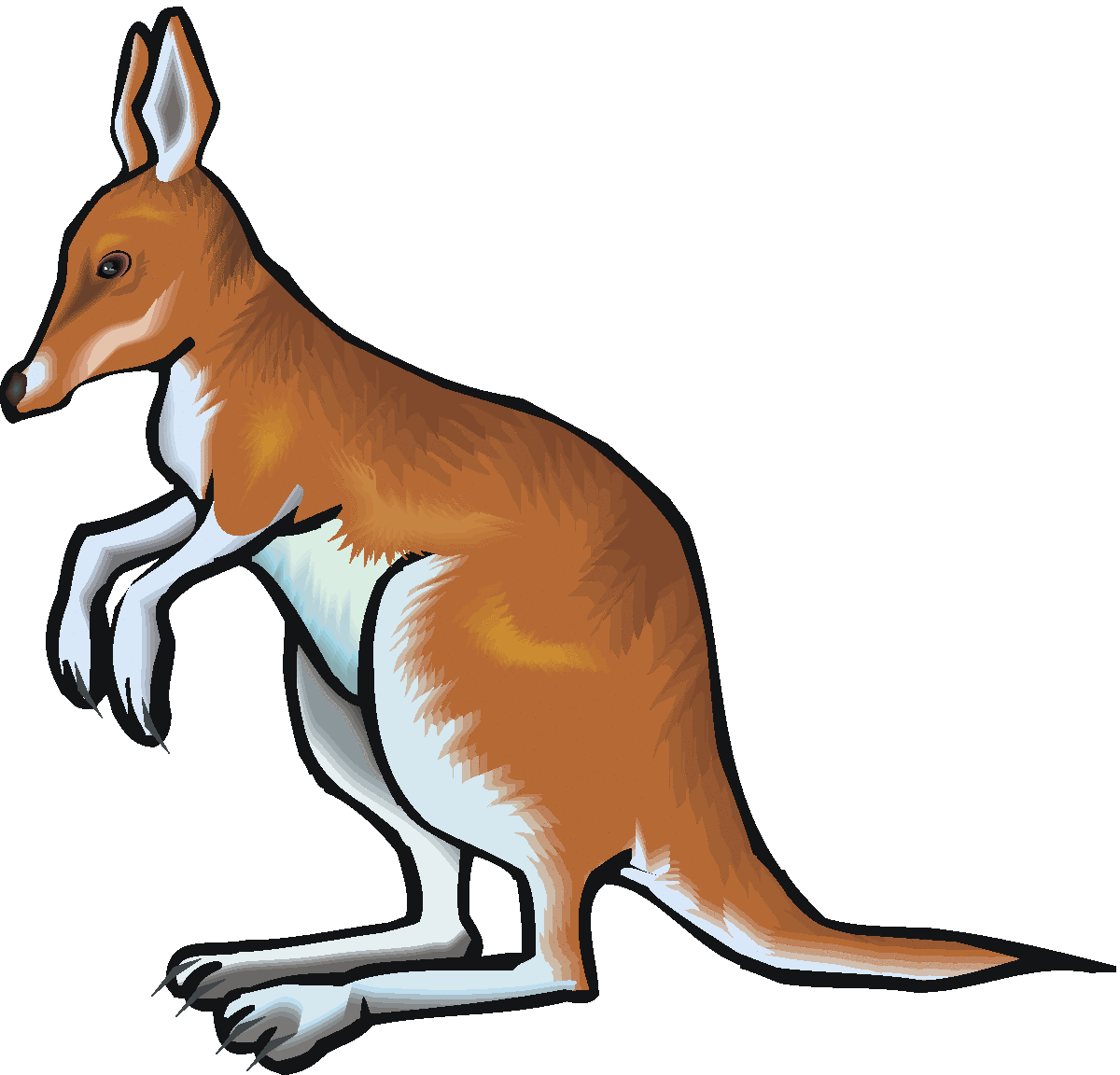 cute kangaroo clipart - photo #43