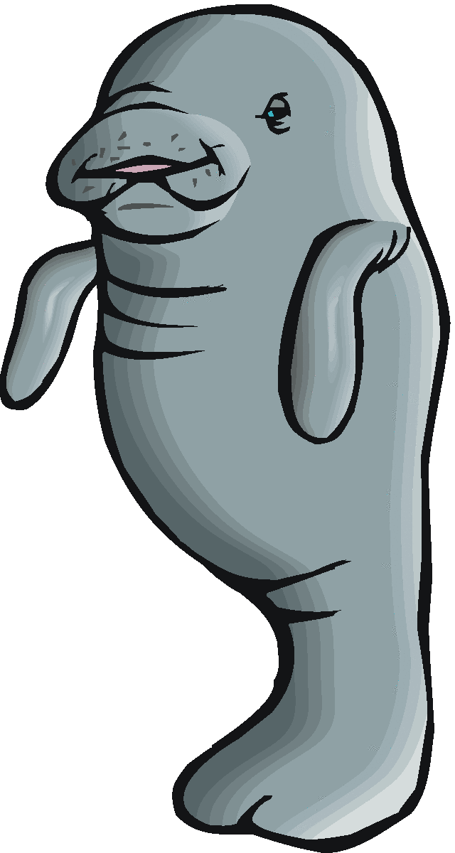 manatee clip art - photo #1