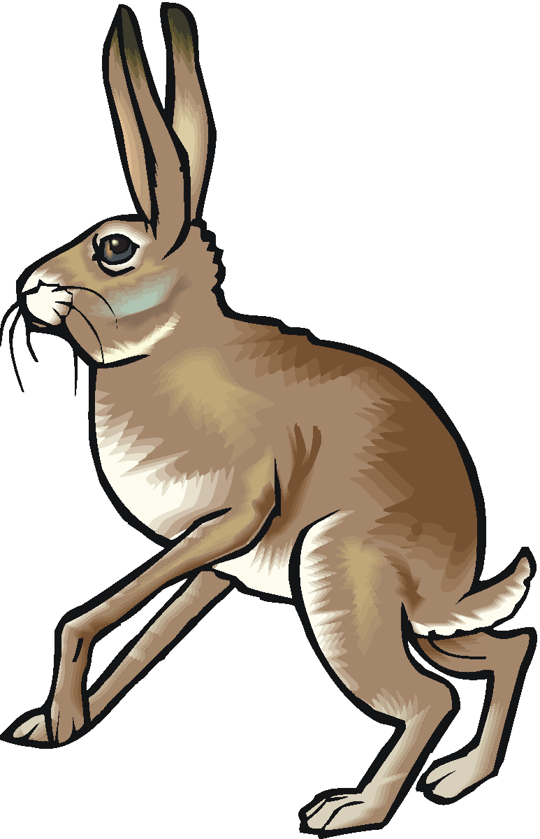 Free Rabbit Clipart