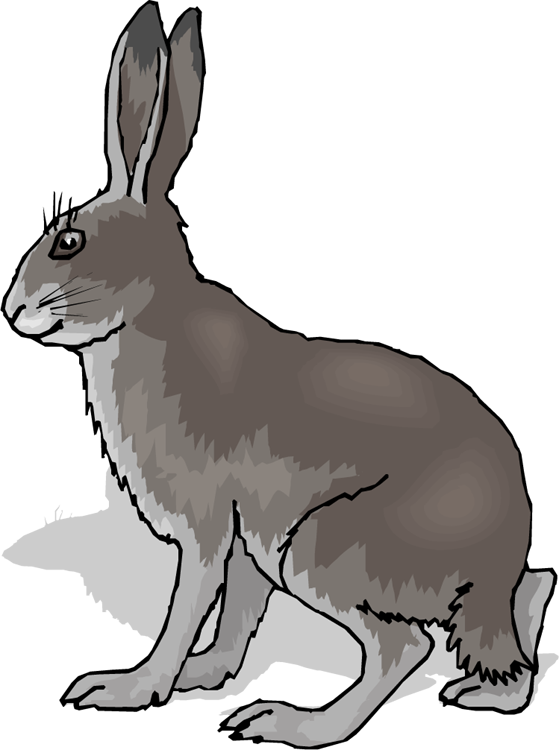 Free Rabbit Clipart