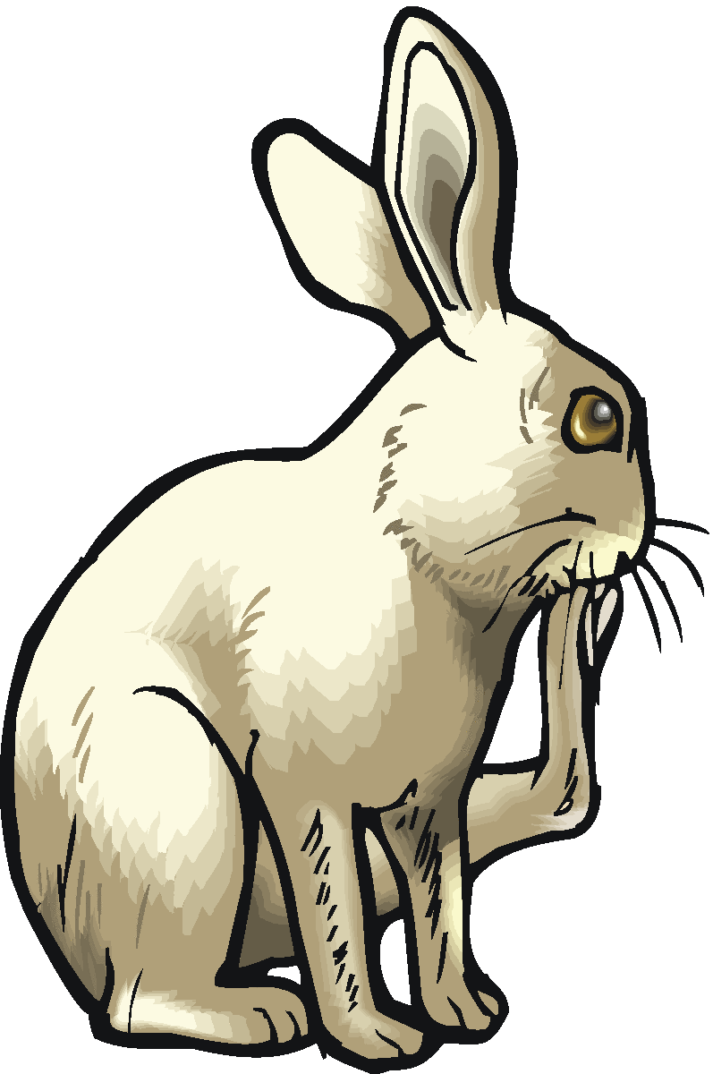 Free Rabbit Clipart