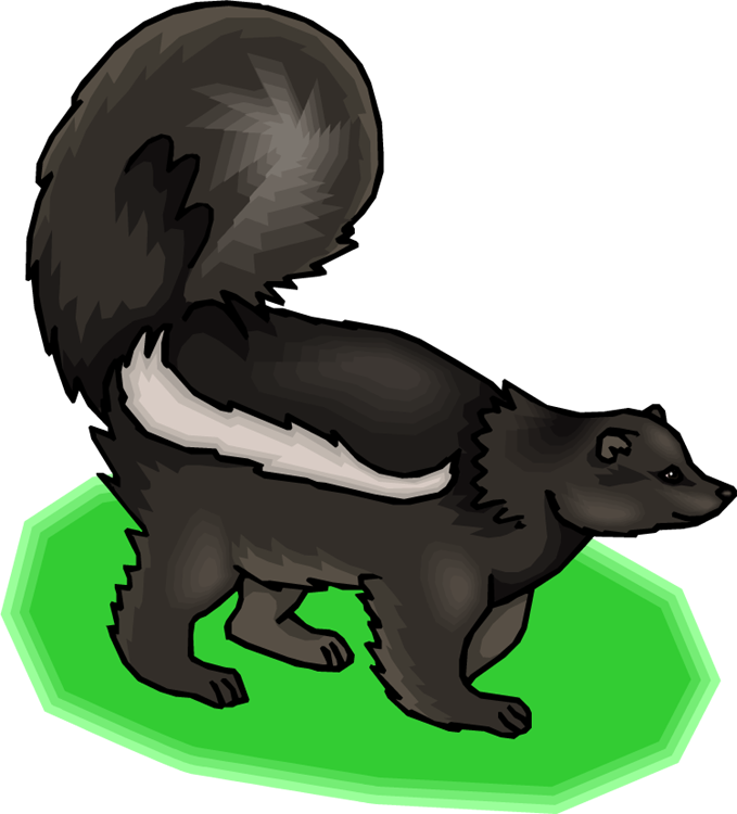 clip art skunk