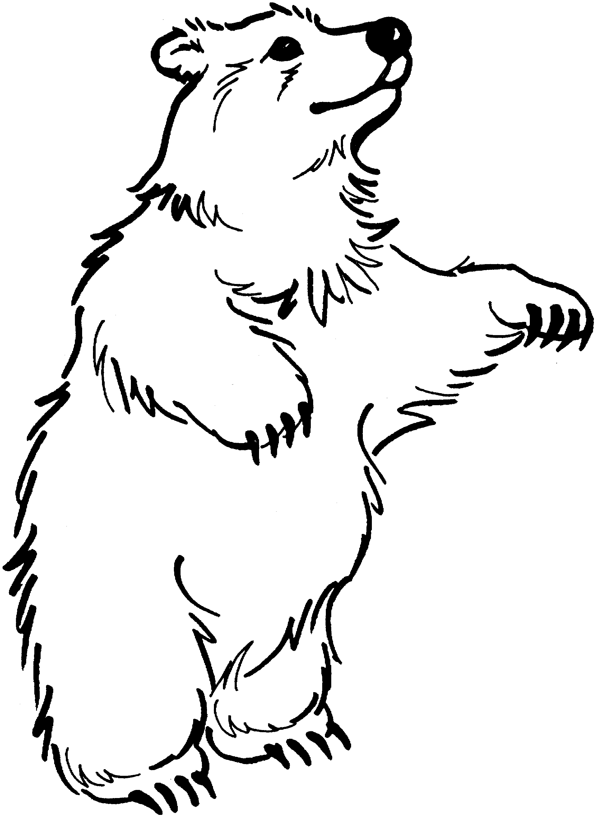 baby brown bear coloring pages - photo #28