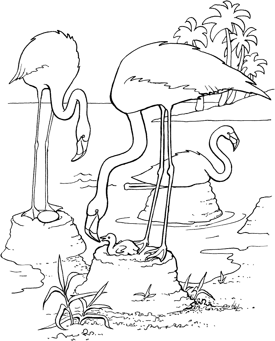 Free Flamingo Coloring Pages