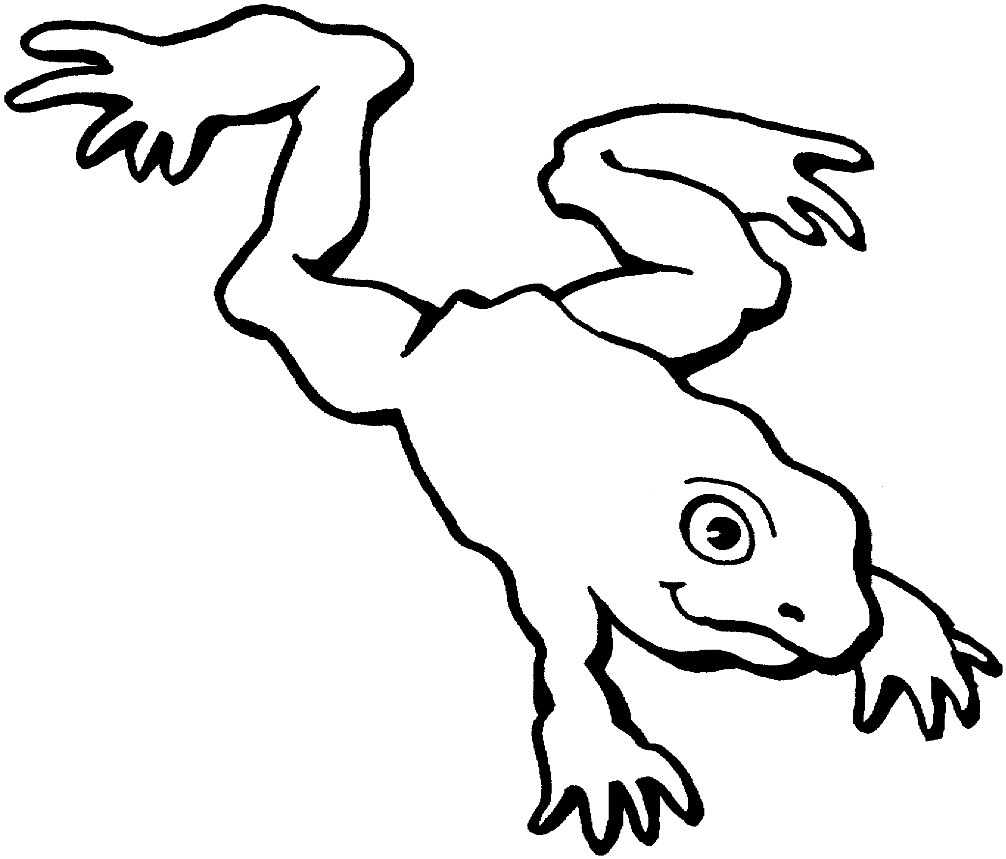 jumping frog coloring page