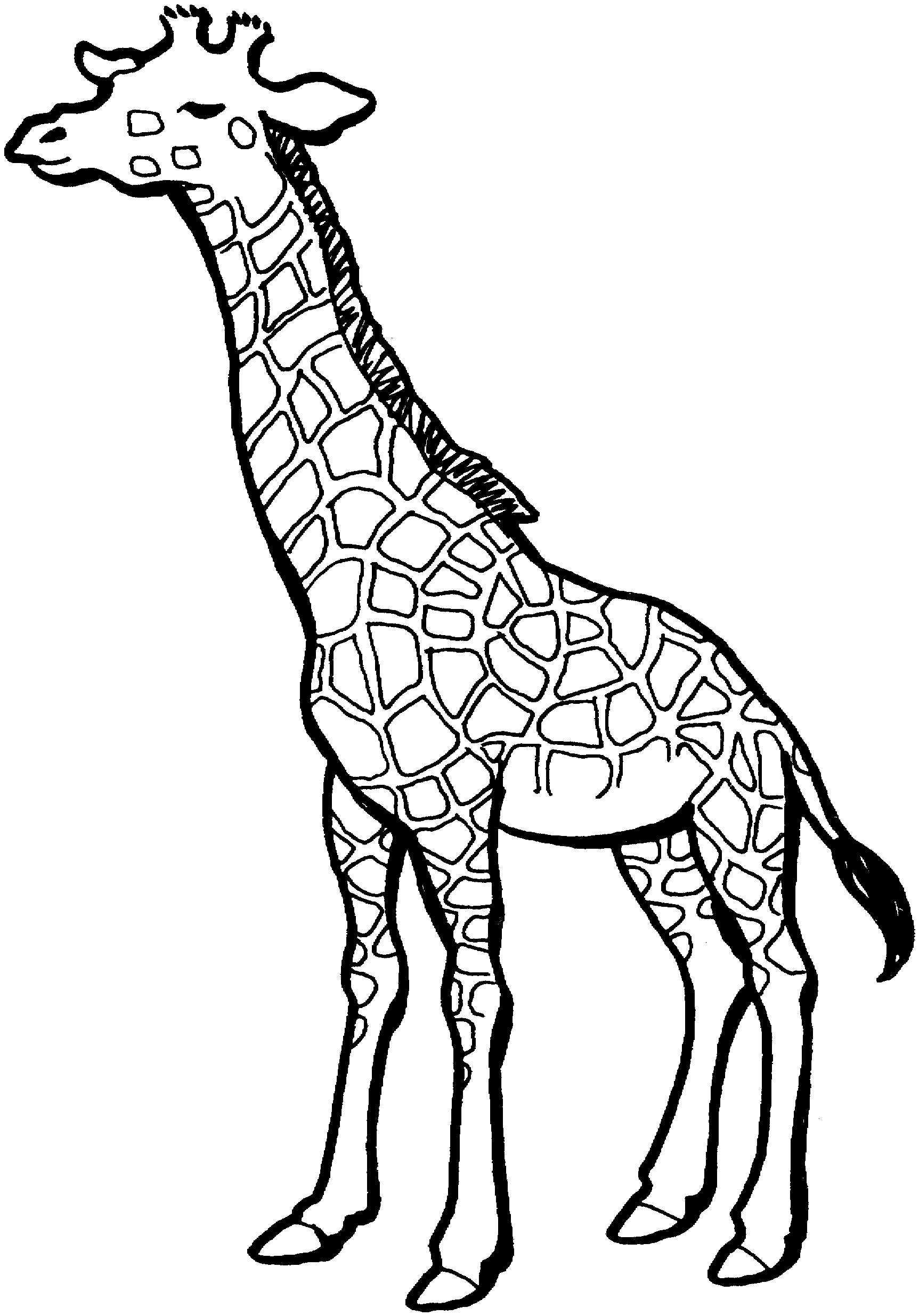 free-giraffe-coloring-pages