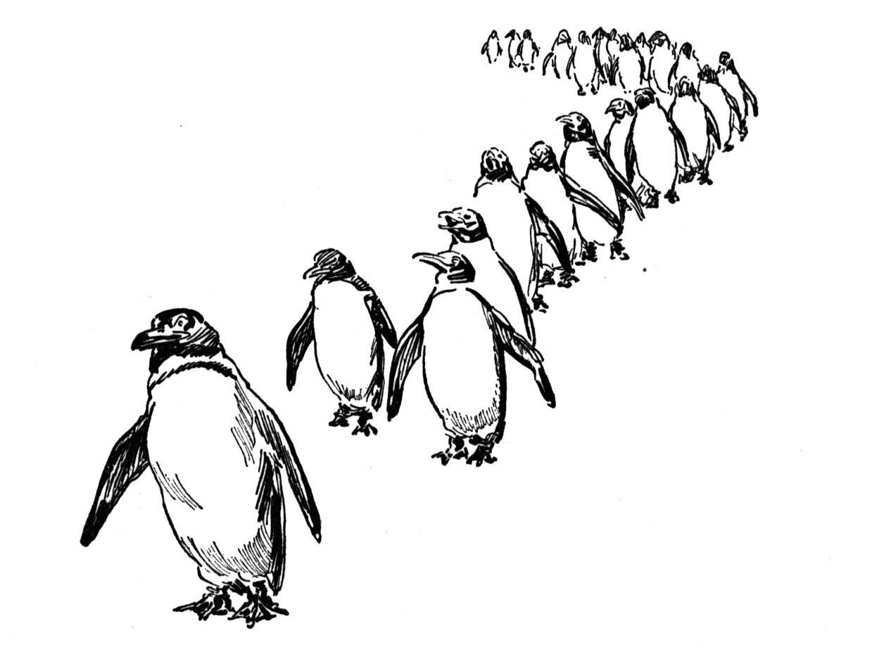 Free Penguin Coloring Pages