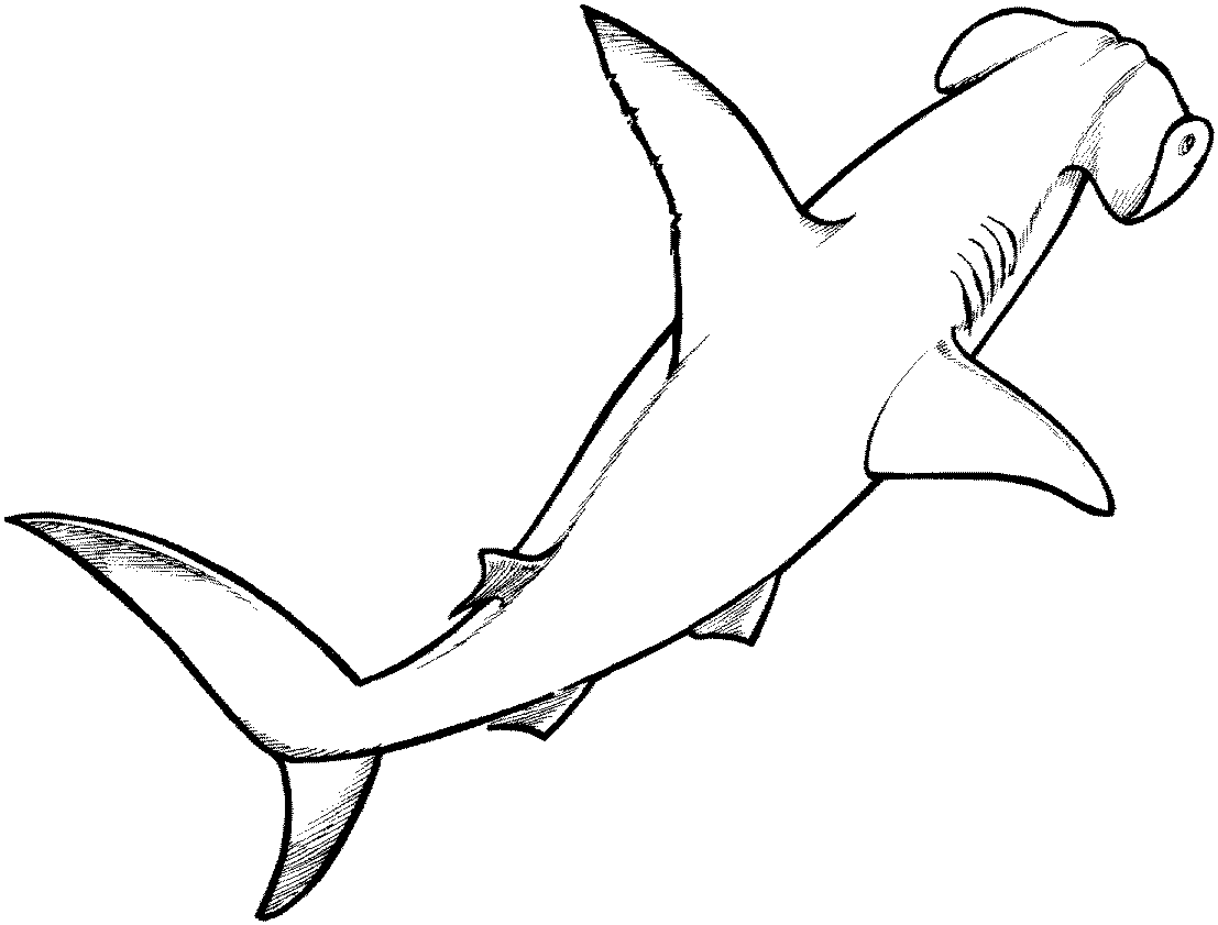 Shark Coloring Pages Free Printable Printable World Holiday
