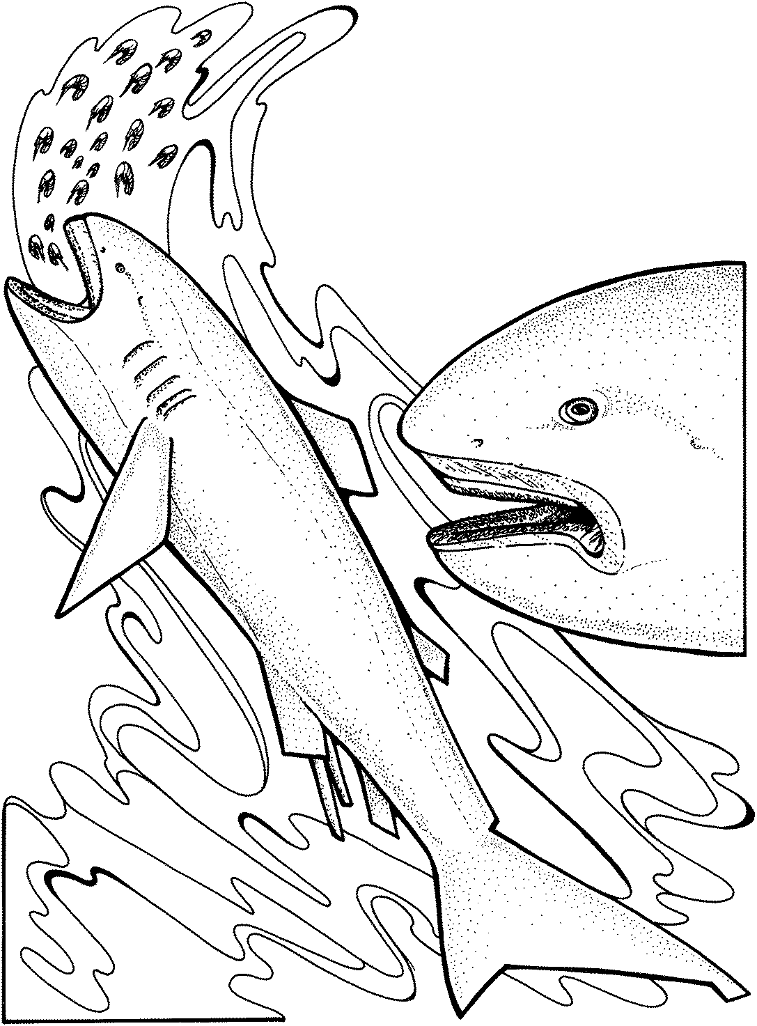 Тигровая акула раскраска