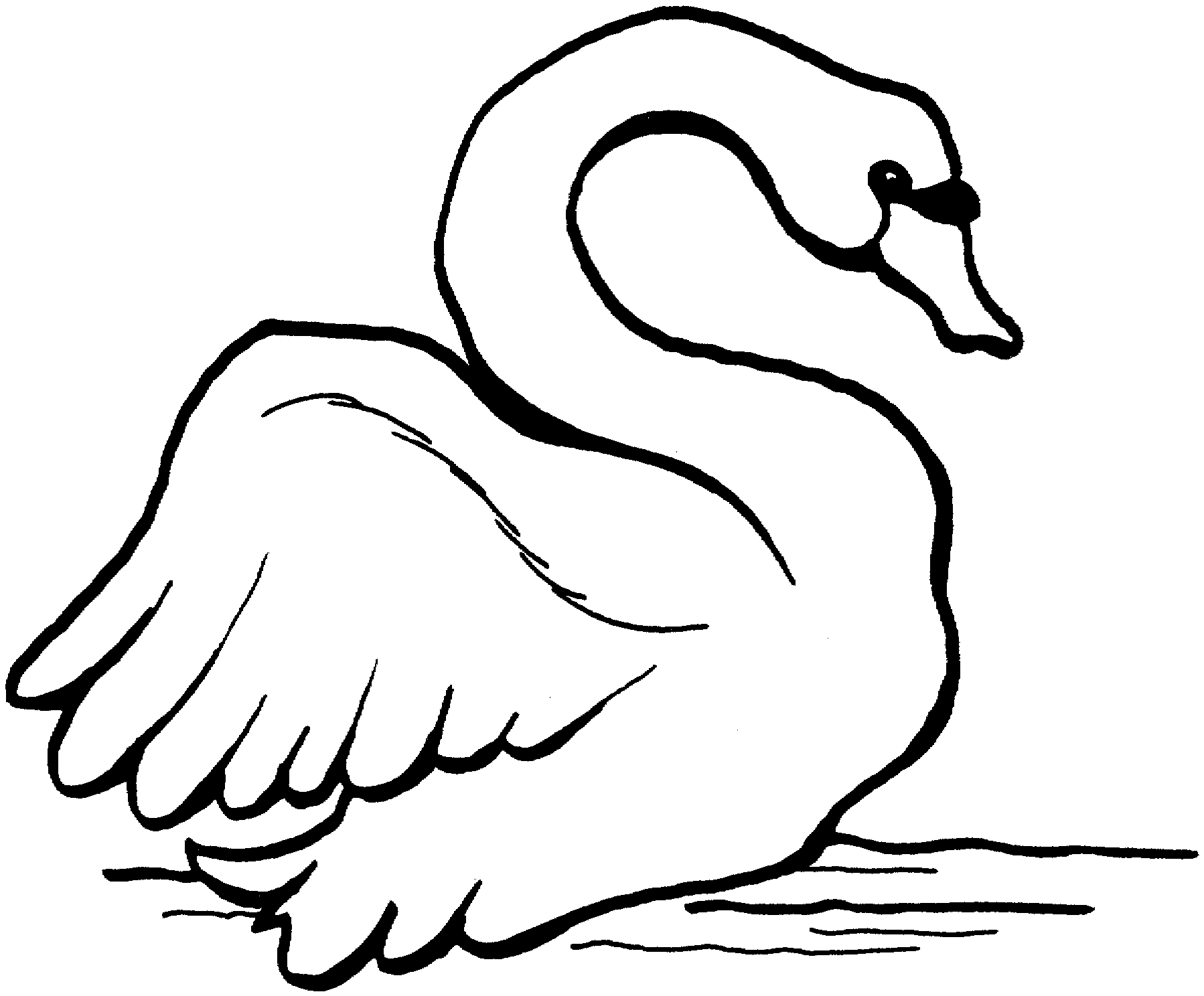 Creative Swan Drawing Sketch From Cildrens Book with simple drawing