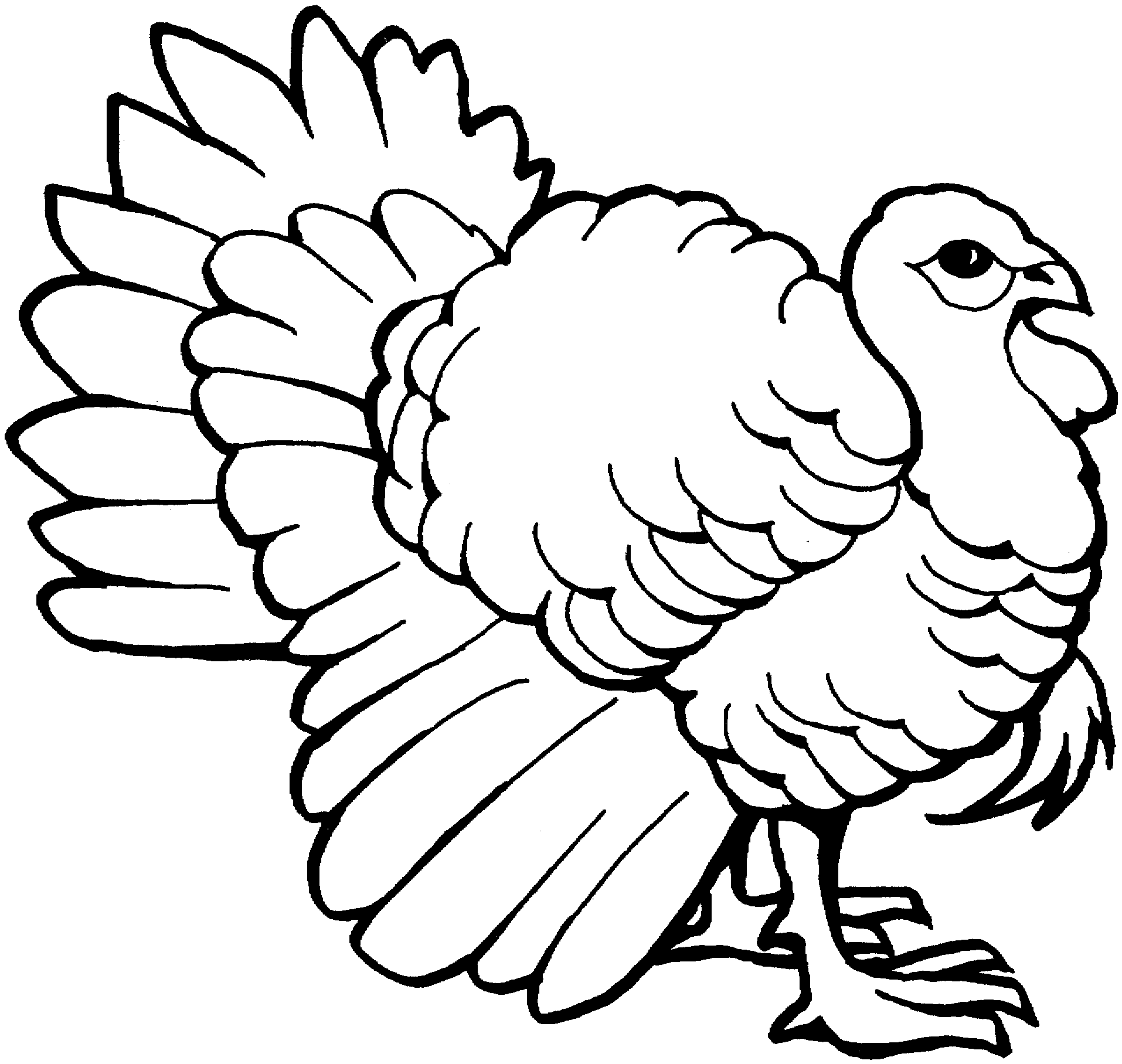 featherless turkey coloring pages