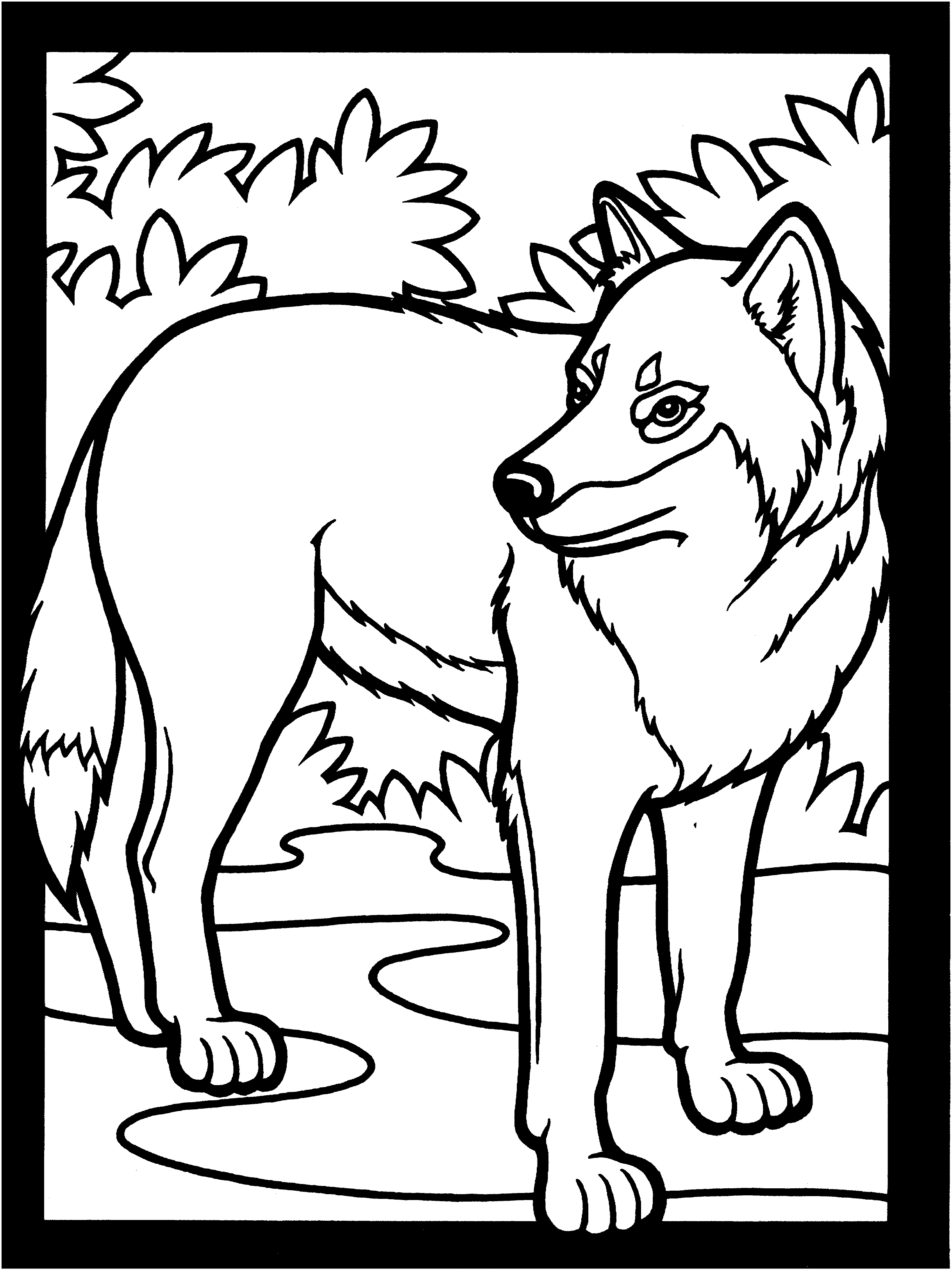 wolf coloring page
