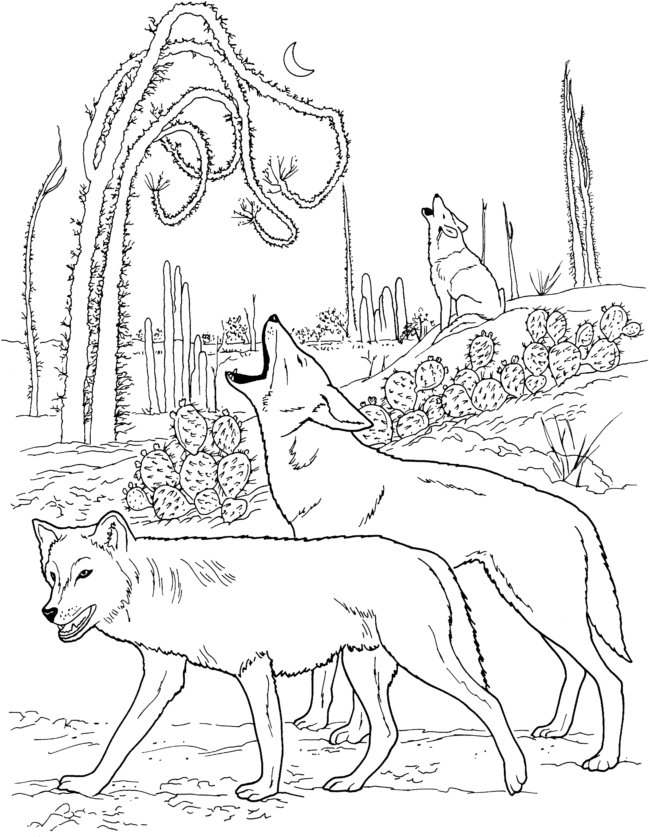 297 Animal Wolf Coloring Pages For Kids for Kids