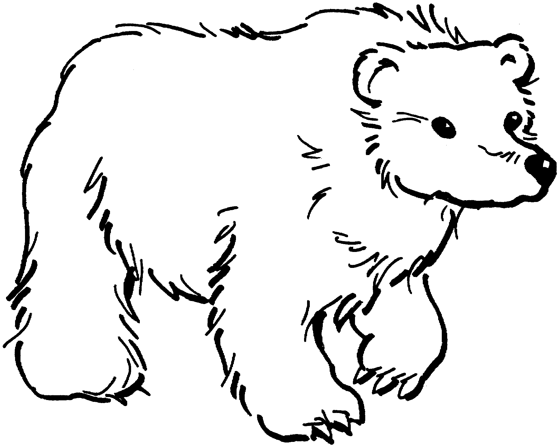 Bear Coloring Images Coloring Pages