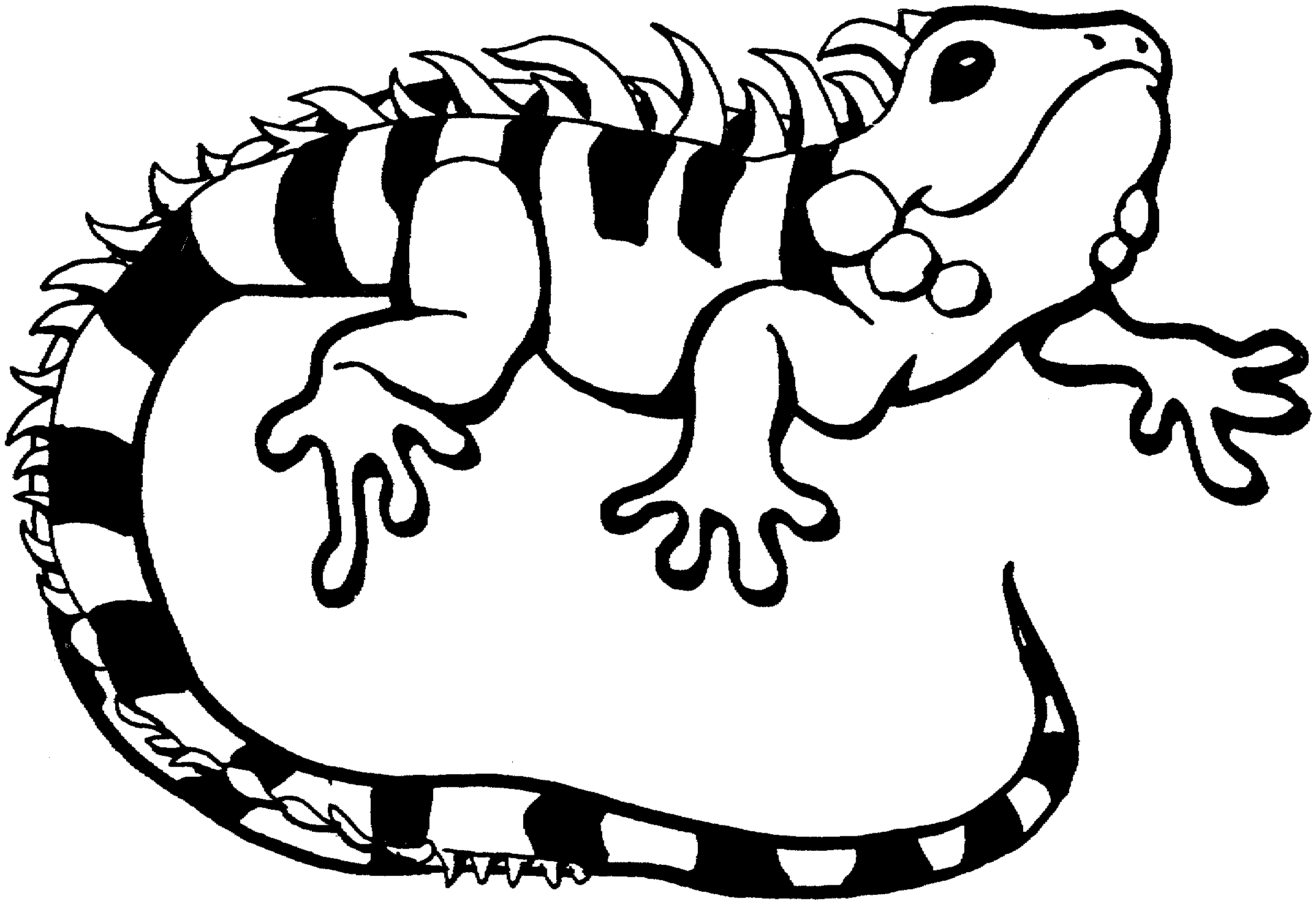 Lizard Printable Coloring Pages - Printable Word Searches